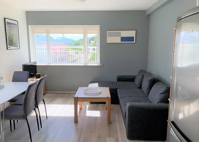 Great Downtown Apartment With Beautiful View