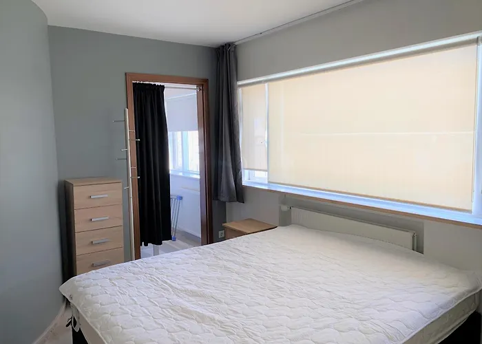 Great Downtown Apartment With Beautiful View